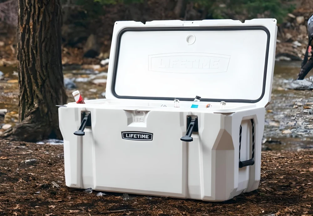 portable food cooler box