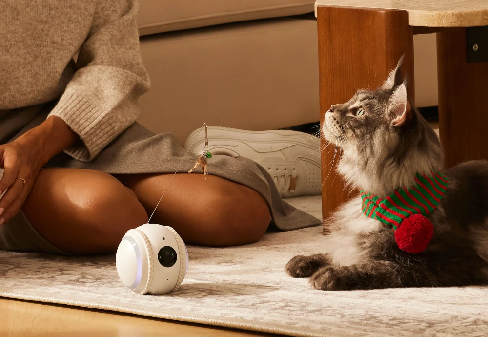 best indoor security camera for pets