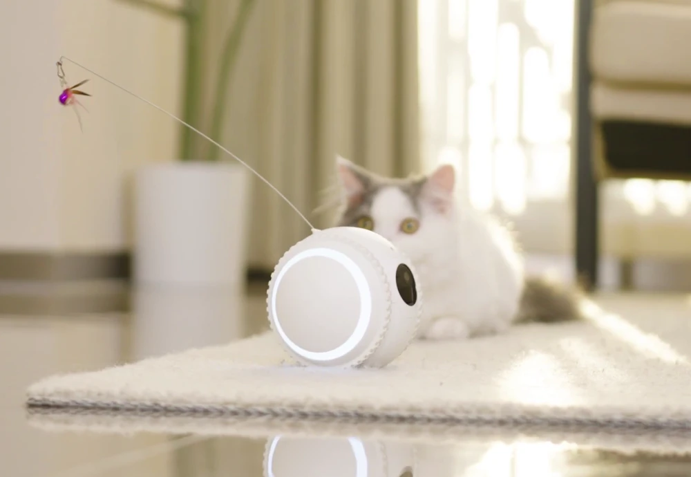 best at home pet camera