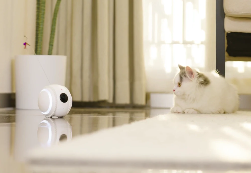 best interactive pet camera