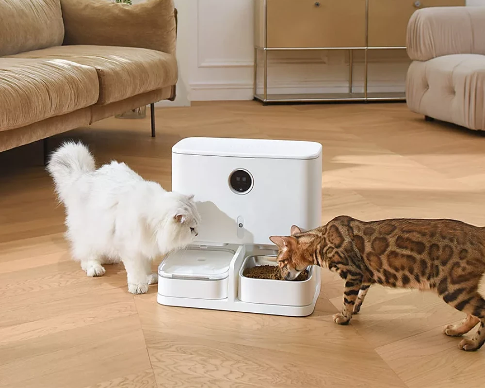 automatic cat feeder with camera