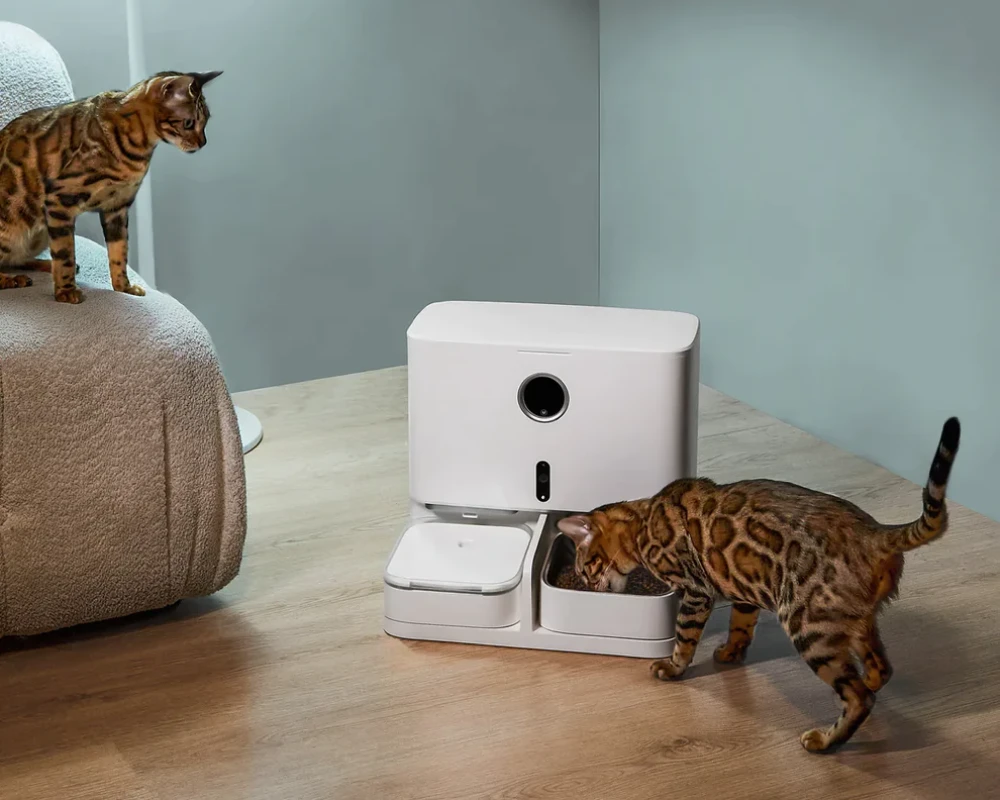 pet feeder with camera